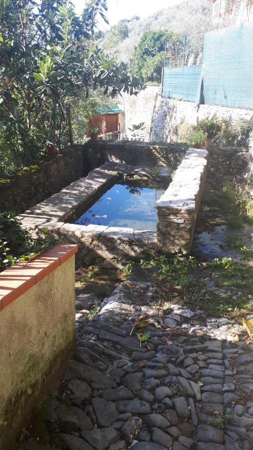 Antico Lavatoio Luni Exterior foto